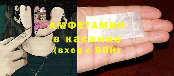 индика Арсеньев