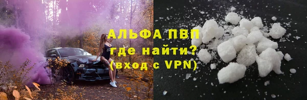 индика Арсеньев