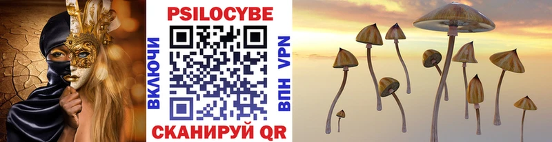 Псилоцибиновые грибы прущие грибы  Омск 