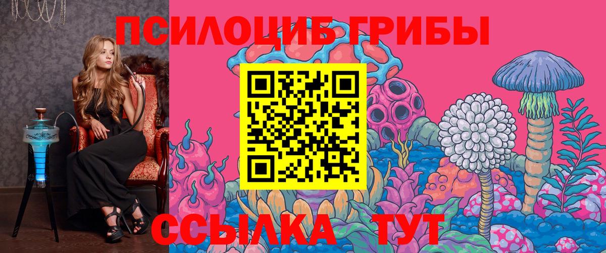 Омск  Псилоцибиновые грибы прущие грибы  Вход с VPN 