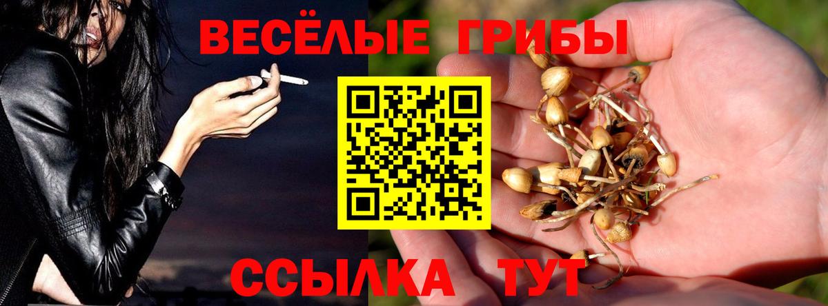 Псилоцибиновые грибы прущие грибы Омск