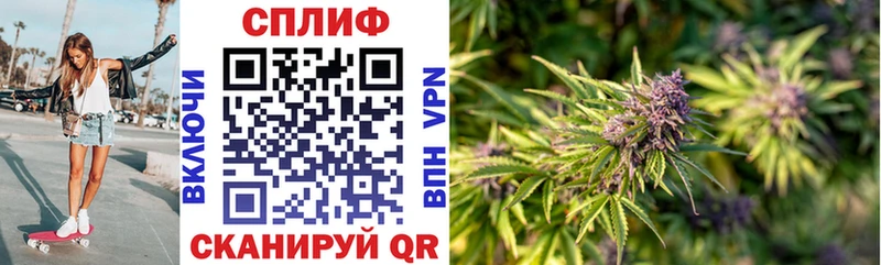 блэк спрут как войти  Омск  Конопля гибрид 